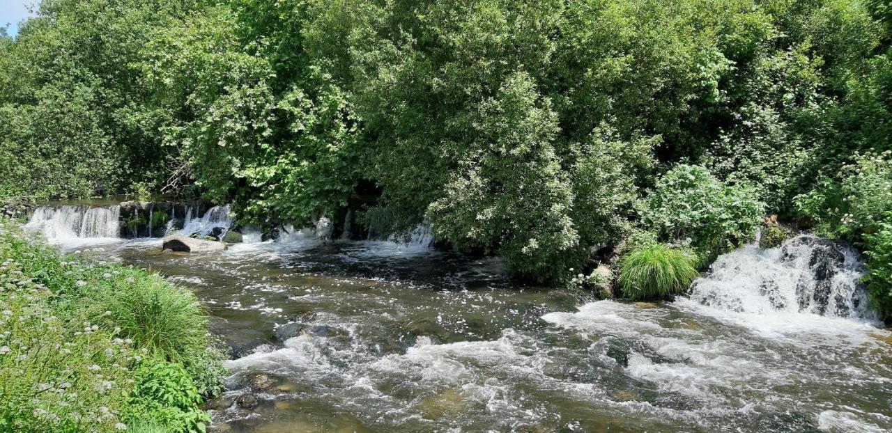 Dream Corner By Waterfalls, 20 Min To Oporto, By Porto With Love Lda Parada  Esterno foto