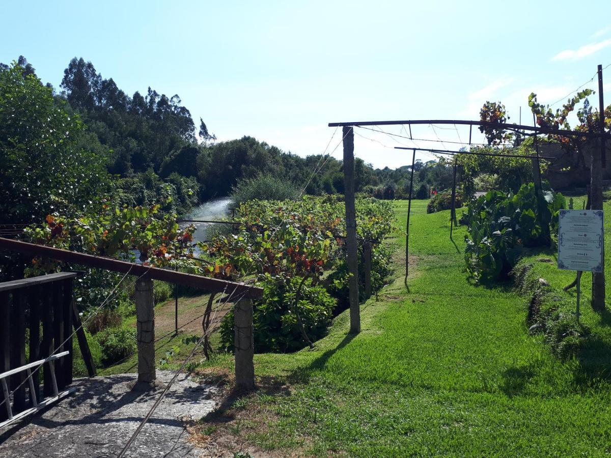 Dream Corner By Waterfalls, 20 Min To Oporto, By Porto With Love Lda Parada  Esterno foto