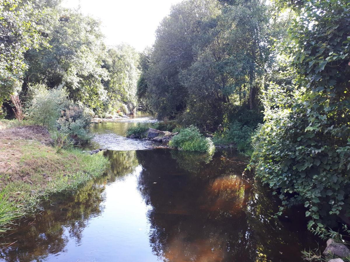 Dream Corner By Waterfalls, 20 Min To Oporto, By Porto With Love Lda Parada  Esterno foto